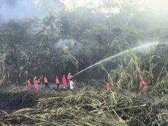 Perkembangan Situasi dan Penanganan Bencana di Tanah Air Tanggal 24 Juli 2025
